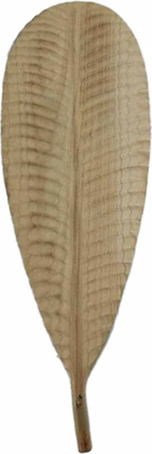 Dekor muri prej druri, formë gjethje, natyrale, Sonto, 162x48x2 cm