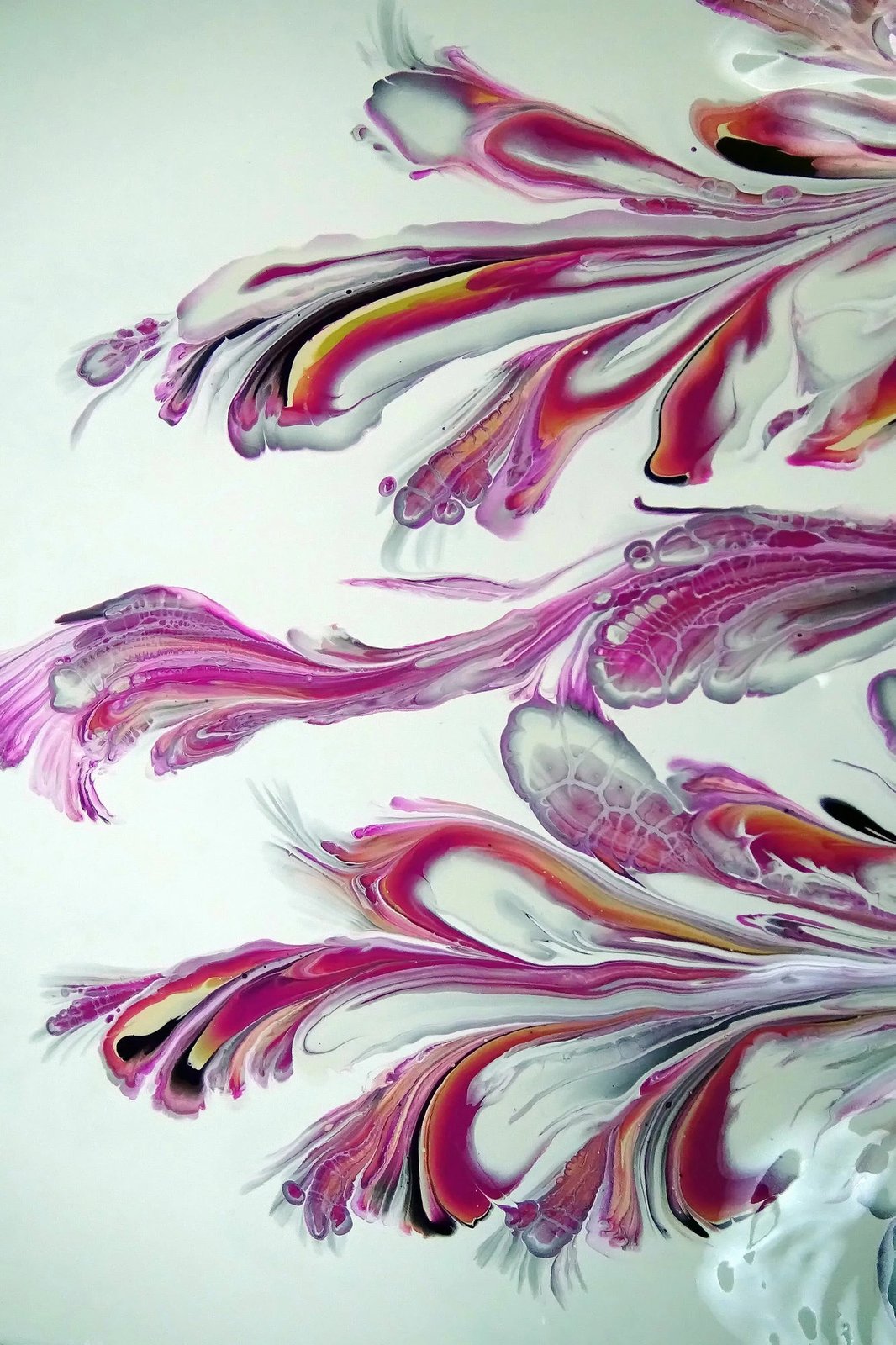 Qilim (50x80) Conceptum Hypnose, Wookece189, shumëngjyrësh