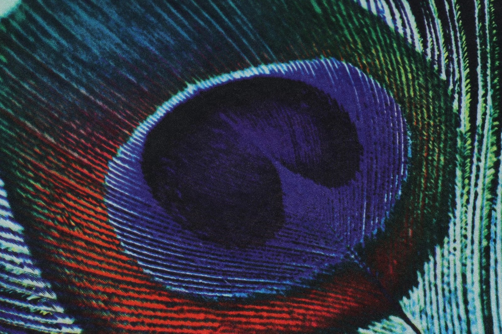 Set tapetash për banjo, 3 copë, dizajn pendë palloi, shumëngjyrëshe, Mijölnir, Peacock Set tapetash për banjo, 3 copë, dizajn pendë palloi, shumëngjyrëshe, Mijölnir, Peacock