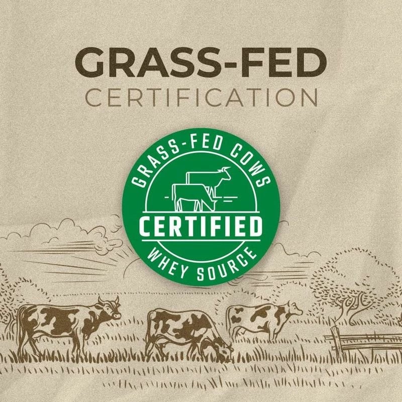 Whey Protein 400g Banane+luleshtrydhe