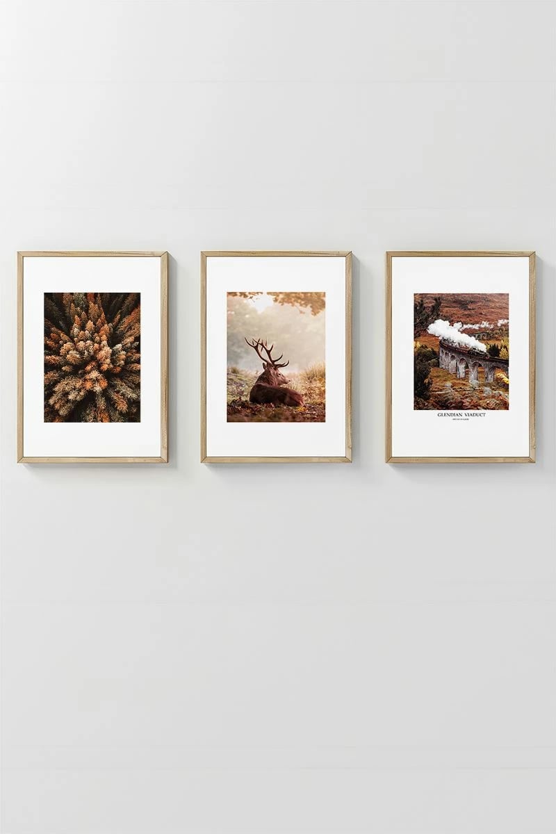 Pikturë dekorative me kornizë (3 copë), Wallity, Artavessastko76