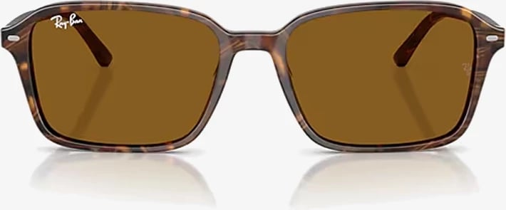 Syze dielli Ray-Ban RB2231 141833 58
