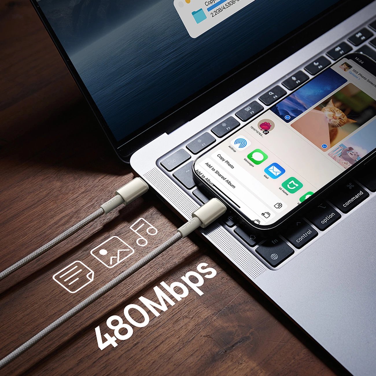 Kabllo USB-C në USB-C Baseus Tungsten Gold, 1m, 100W, Ari
