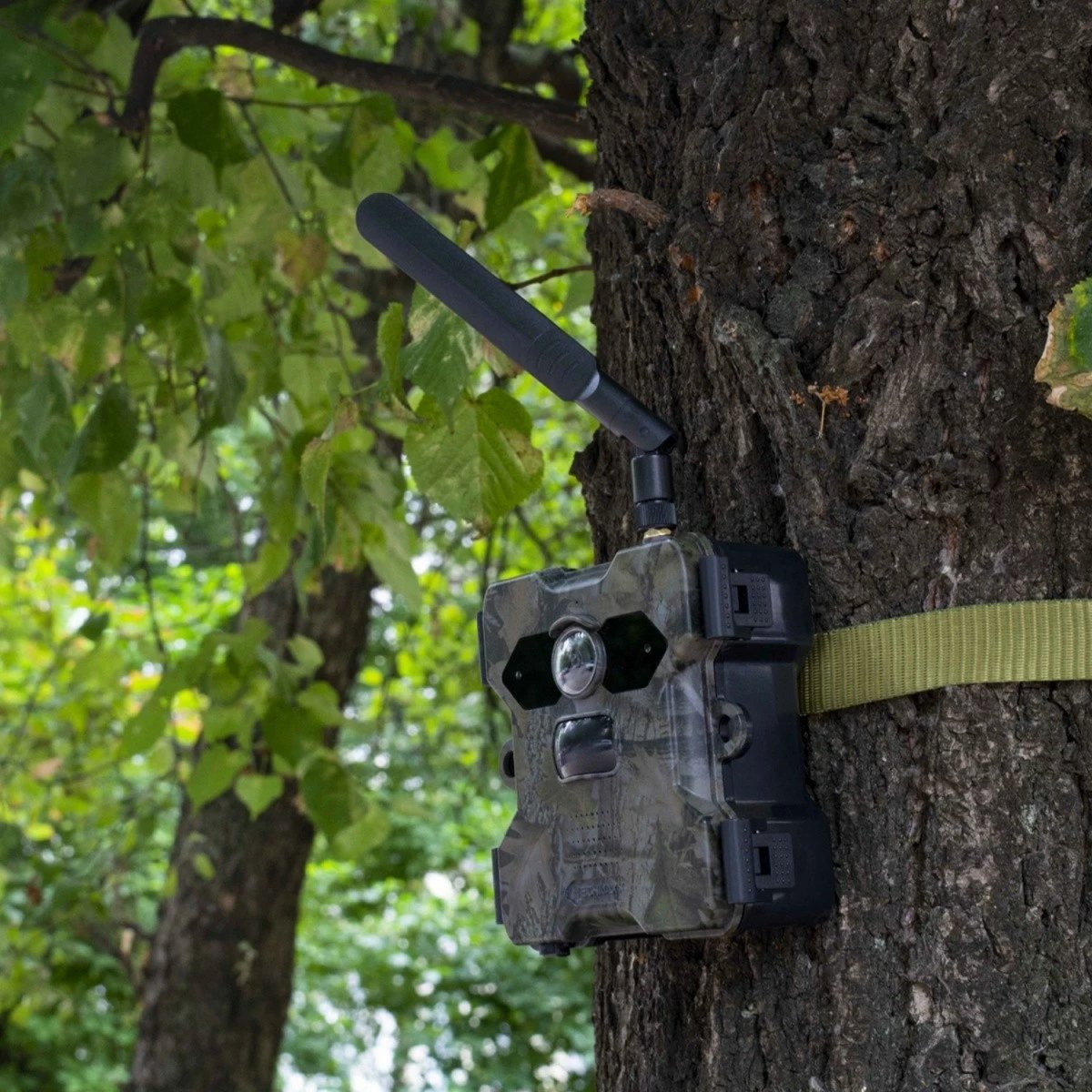 Kamerë vëzhgimi Technaxx TX-189 me panel diellor, 4G, 2560x1440, IP66, e zezë, set Kamerë vëzhgimi Technaxx TX-189 me panel diellor, 4G, 2560x1440, IP66, e zezë, set