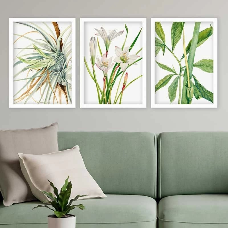 Pikturë dekorative me kornizë (3 copë), Wallity, 3BC_12621251_3545