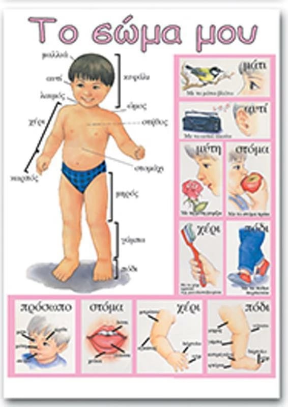 Poster edukativ NEXT "Trupi Im" greqisht 50x70cm
