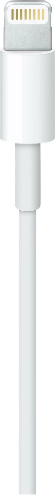 Apple Lightning cable - Lightning / USB - 1 m