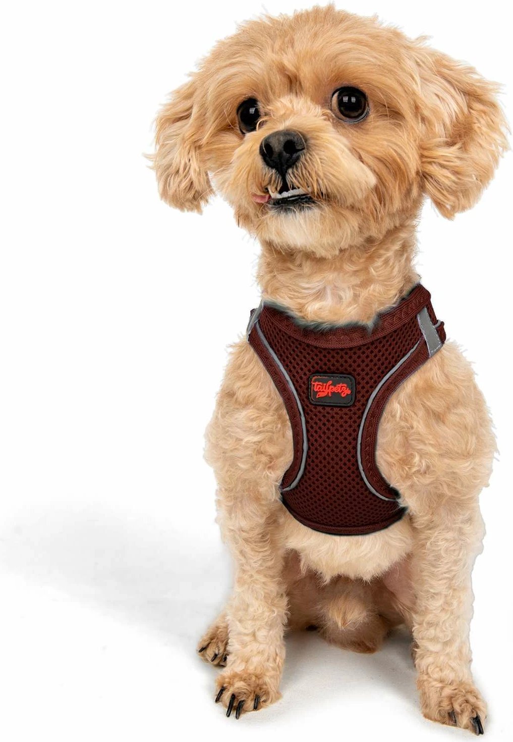 Parzmore për qen, Air-Mesh, ngjyrë e kuqe e errët (Claret Red)