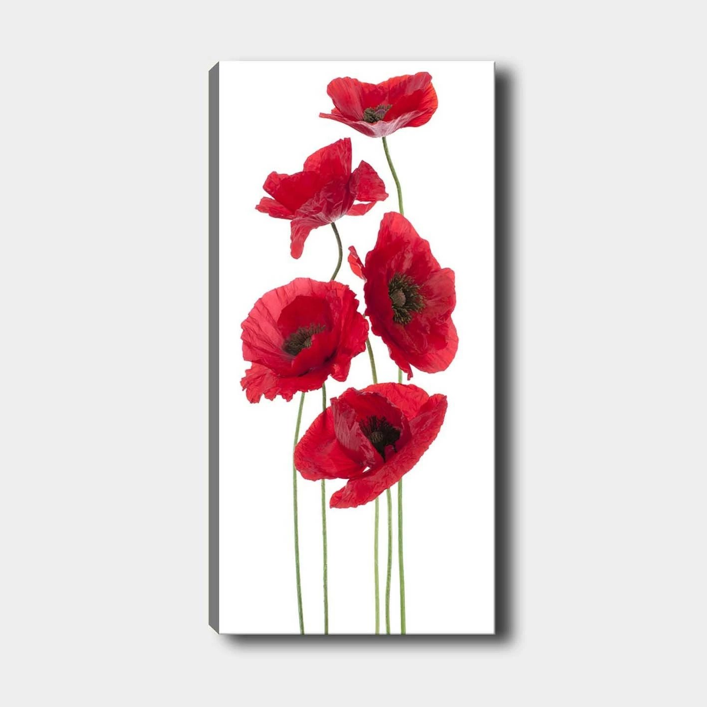 Pikturë dekorative në kanavacë, shumëngjyrëshe, DKY128322_50120, 50x120cm