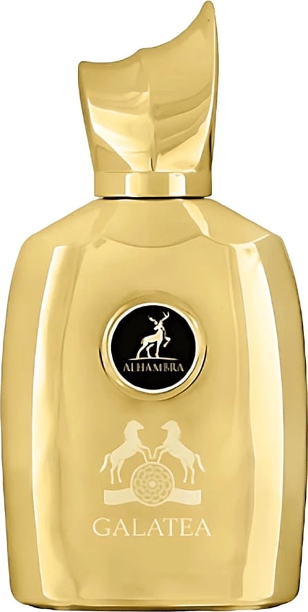 Eau de Parfum për meshkuj Maison Alhambra Galatea 100ml