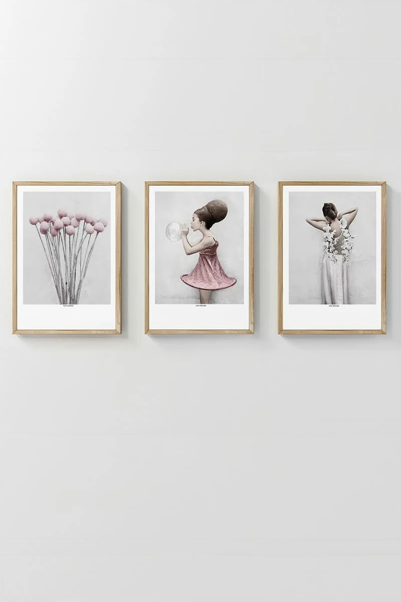 Pikturë dekorative me kornizë (3 copë), Wallity, Artavessastko61