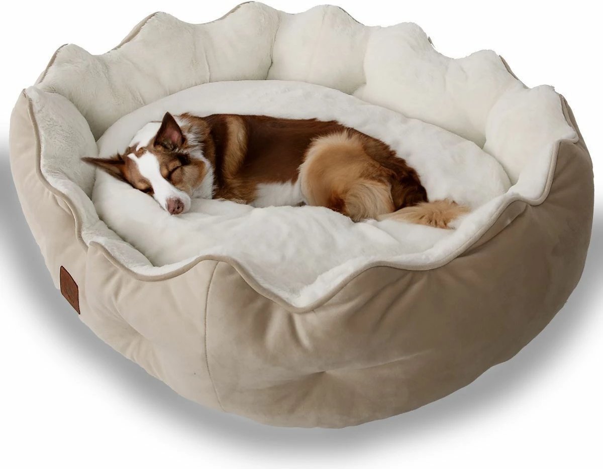 Shtrat për qen Elsa, krem, Paws & Whiskers, S