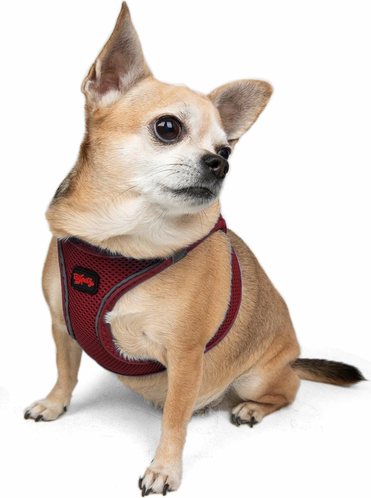 Parzmore për qen, Air-Mesh, ngjyrë e kuqe e errët (Claret Red)