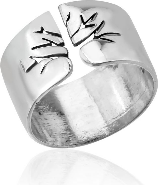 Unazë argjendi, Jumeon, AOYZ2051