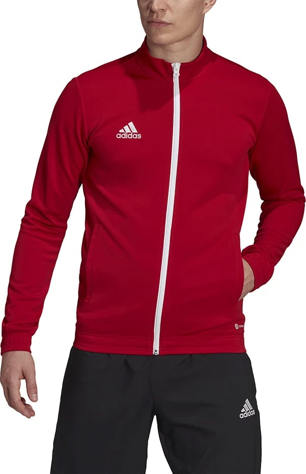 Duks për meshkuj adidas, i kuq Duks për meshkuj adidas, i kuq