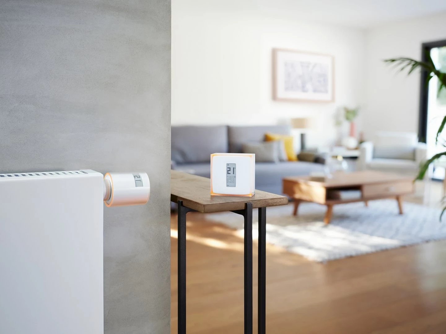 Set termostat i mençur Netatmo me 3 valvula të mençura për radiator, i bardhë
