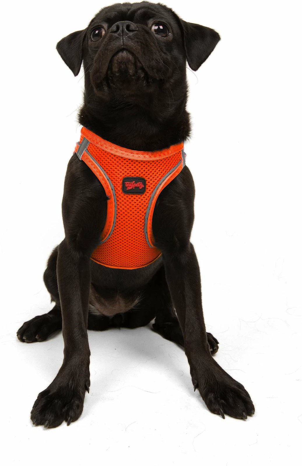 Parzmore për qen, Air-Mesh, ngjyrë portokalli Neo