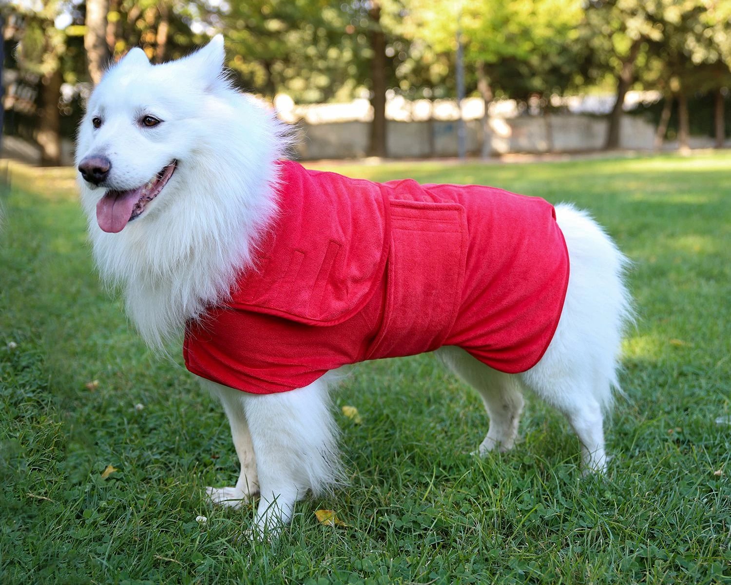 Rrobë banje për qen, ngjyrë e kuqe, Paws & Whiskers, Drygown Rrobë banje për qen, ngjyrë e kuqe, Paws & Whiskers, Drygown