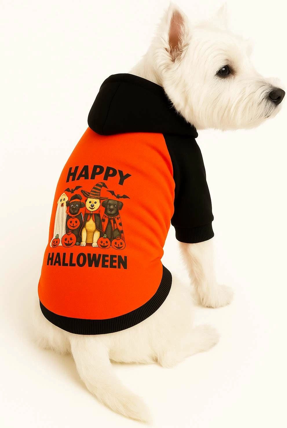 Bluzë me kapuç për qen, ngjyrë portokalli, Paws & Whiskers, Happy Halloween