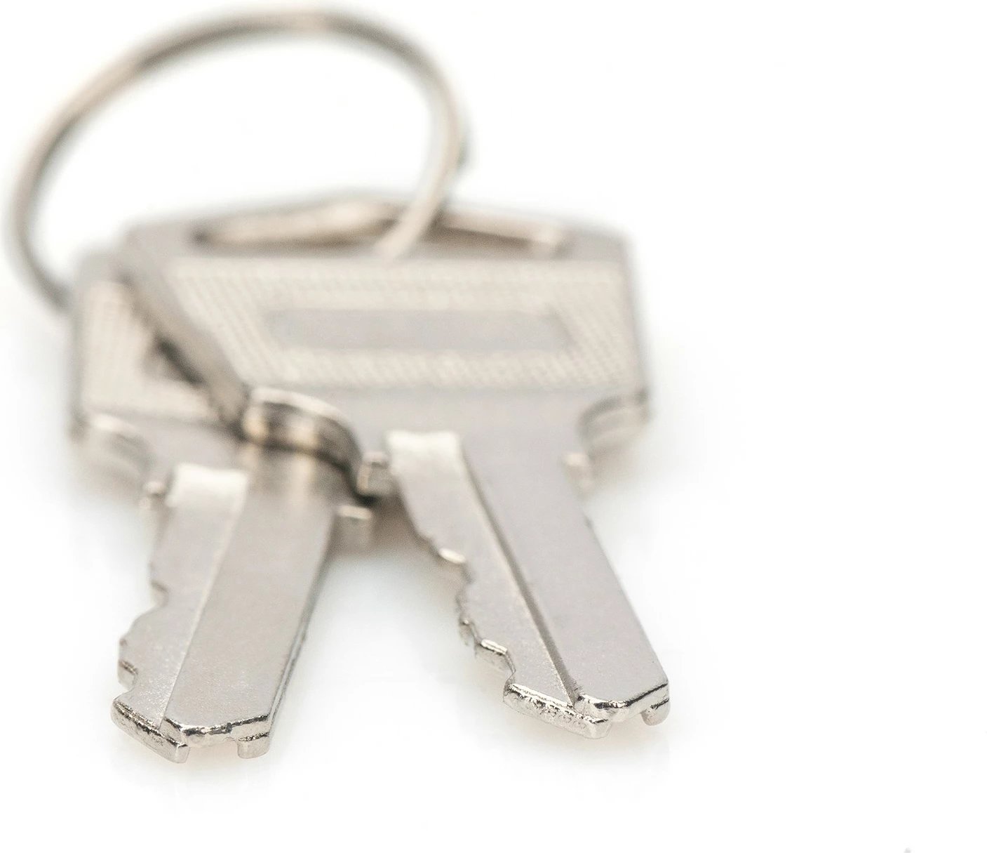 Çelësa Digitus për dollap karikimi, 2 copë, argjend Çelësa Digitus për dollap karikimi, 2 copë, argjend