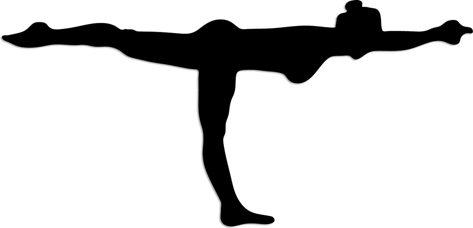 Aksesor dekorativ metalik për mur, Wallity Yoga 24, ngjyrë e zezë, 60x30cm