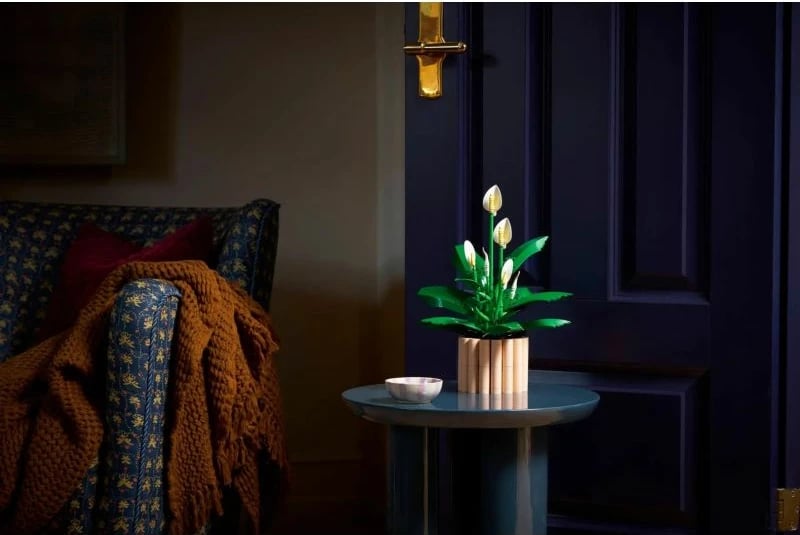 Set LEGO Botanical për të rritur, Spathiphyllum në vazo