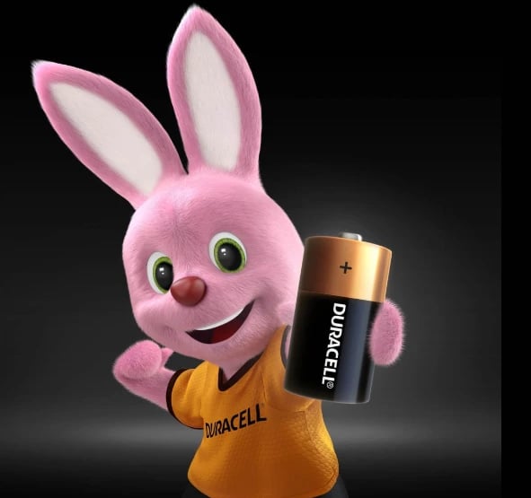 Bateri Alkaline Duracell LR14 C, 2 copë, një përdorimëshe