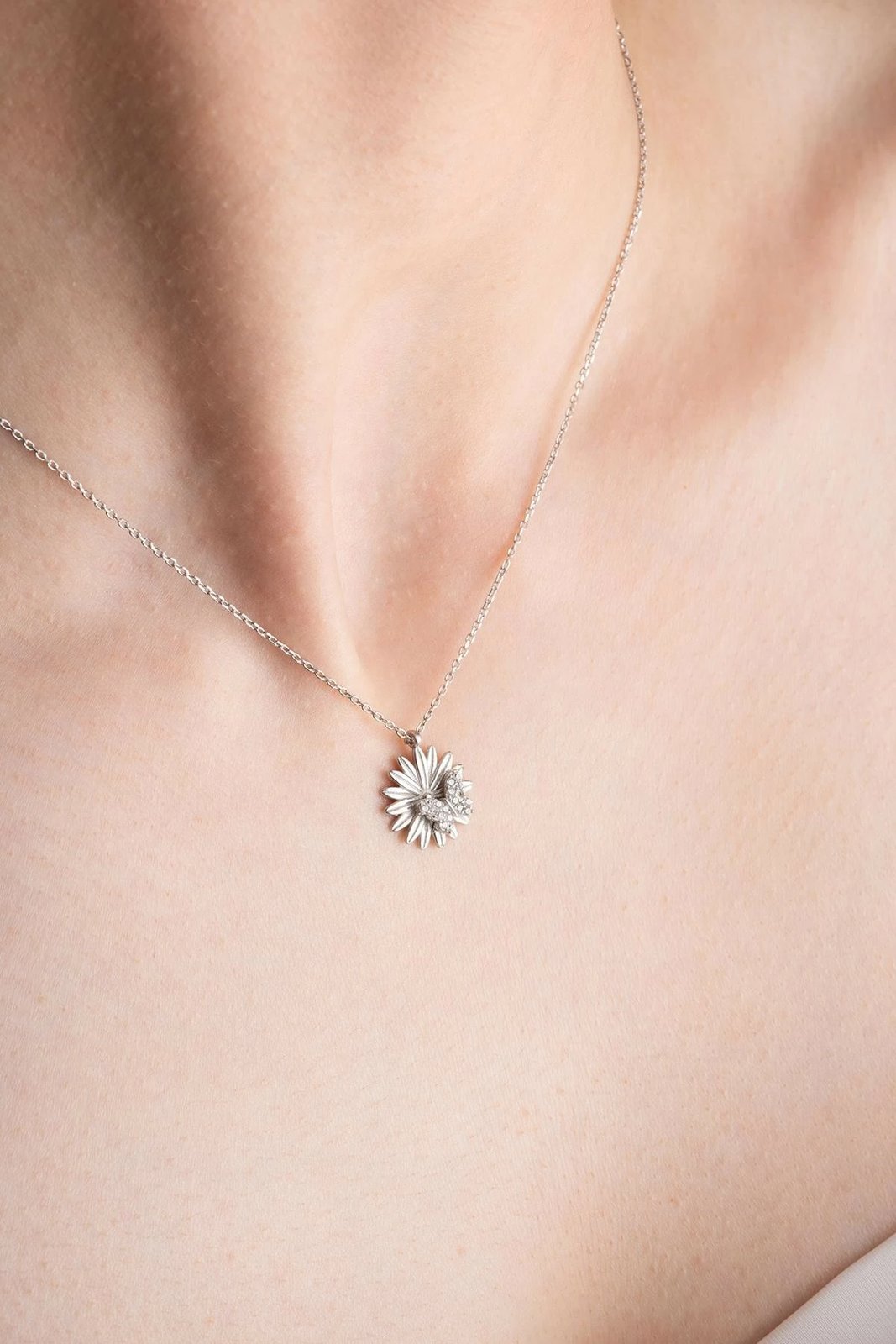 Varëse argjendi, Jumeon, NRZ999091