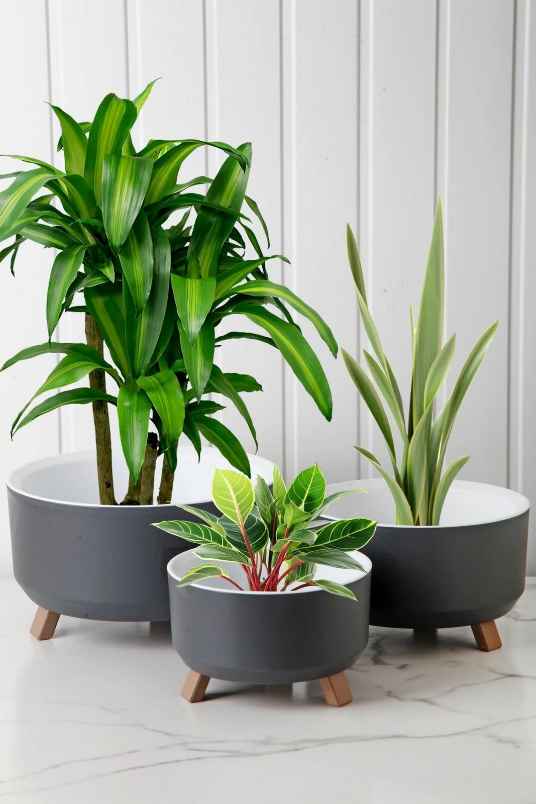 Set vazo dekorative Aberto Design, gri, TRPTSKS-1-3