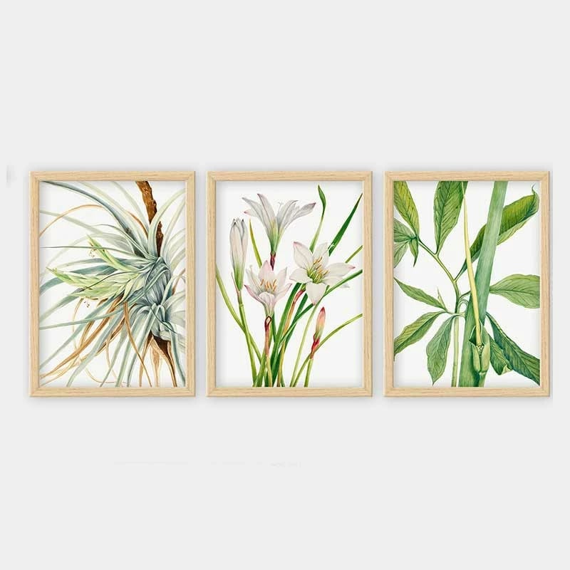 Pikturë dekorative me kornizë (3 copë), Wallity, 3NTC_12621251_3545