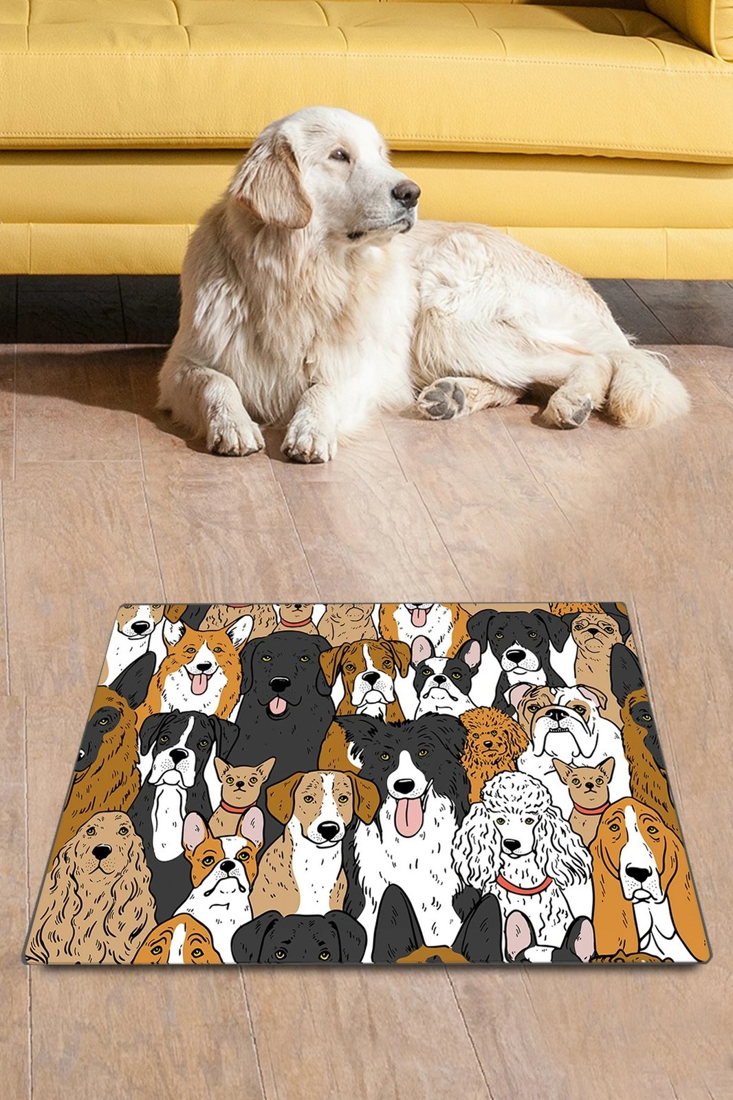 Tapet për rërë mace, shumëngjyrësh, Paws & Whiskers, 40x60cm