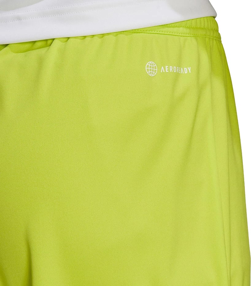 Shorce për meshkuj adidas, të gjelbra