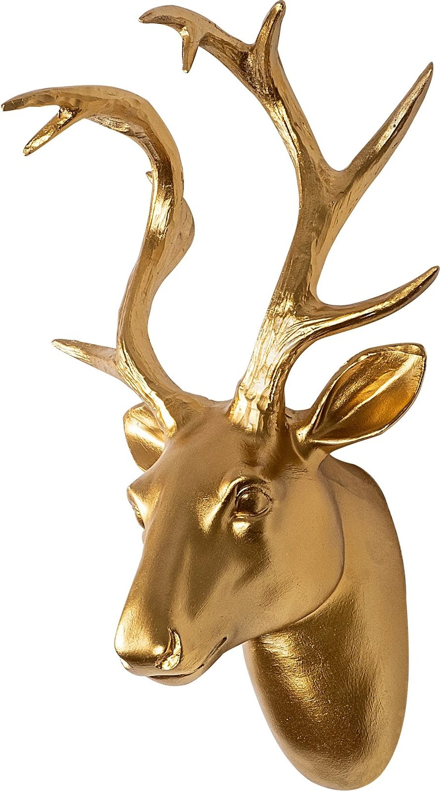 Aksesor dekorativ për mur, bust dreu, ngjyrë ari, Wallity