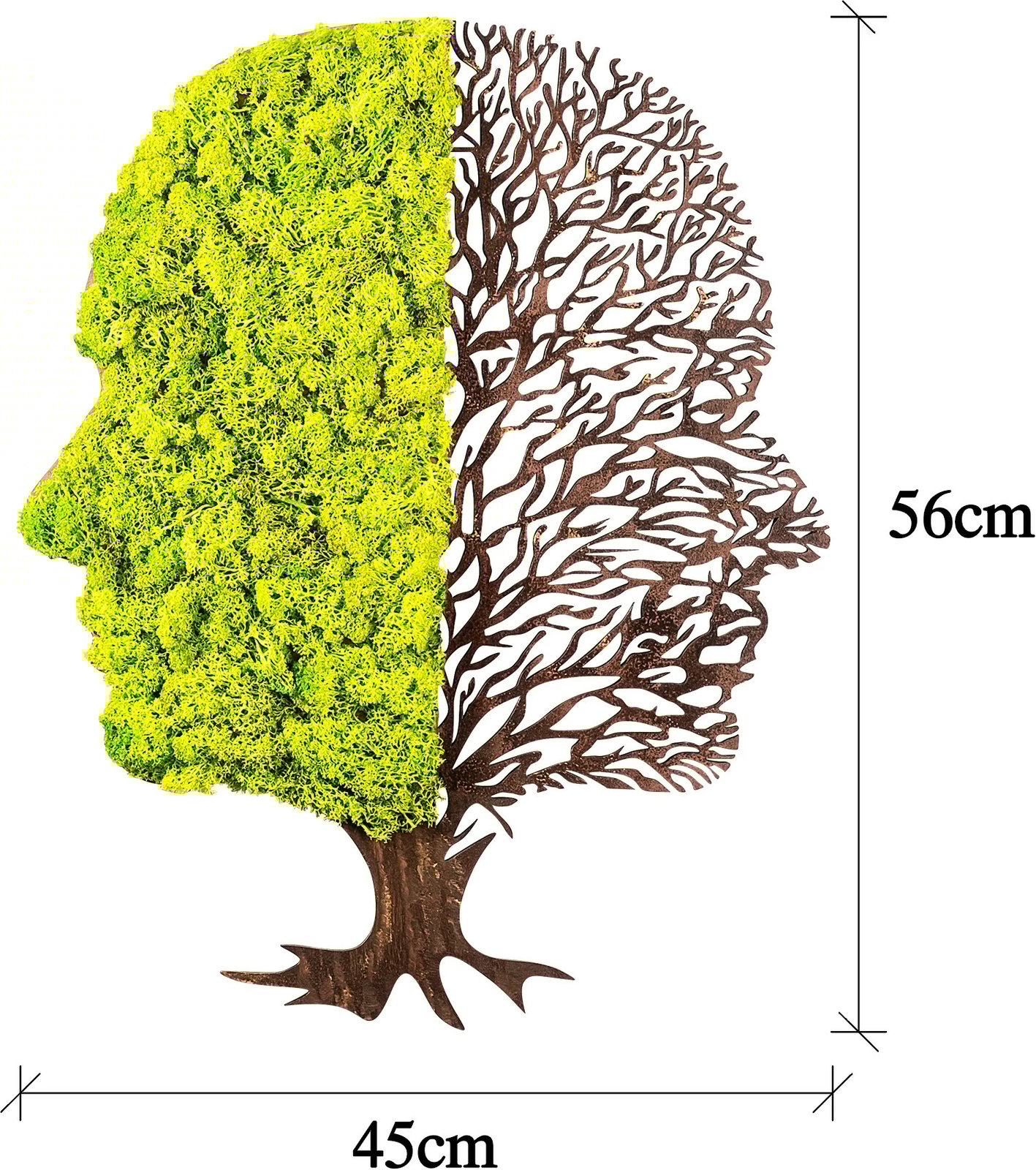 Aksesor dekorativ muri Wallity, jeshil dhe kafe