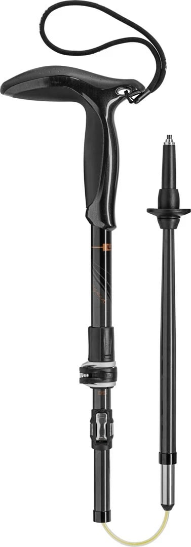 Shkop trekking LEKI Legend Series Microphone, 100 cm, i zi