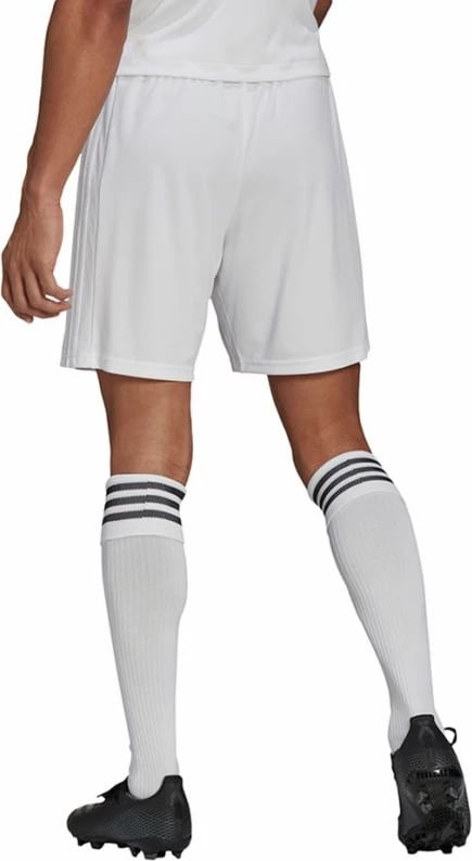 Shorce për meshkuj adidas Squadra 21, të bardha