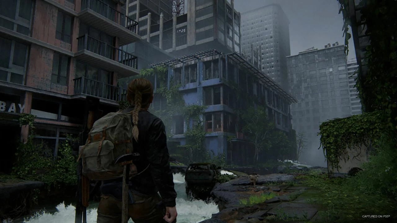The Last of Us - Part 2 - Remastered Disk Version PS5