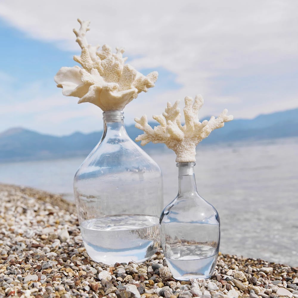 Shishe dekorative Coralli me kapak, xham transparent, polirezine, 24x15x41cm