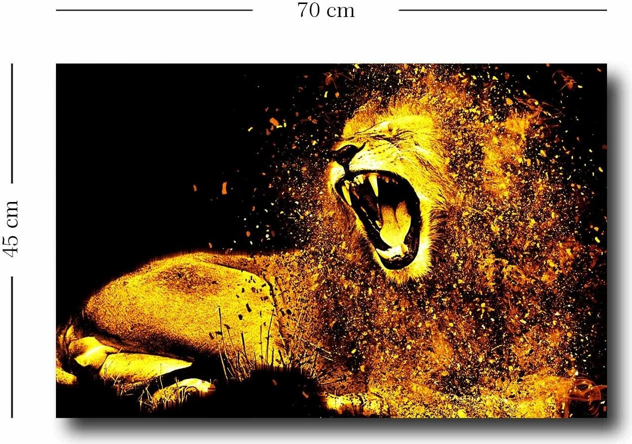 Pikturë dekorative në kanavacë, shumëngjyrëshe, 45x70cm, 45702021C-019