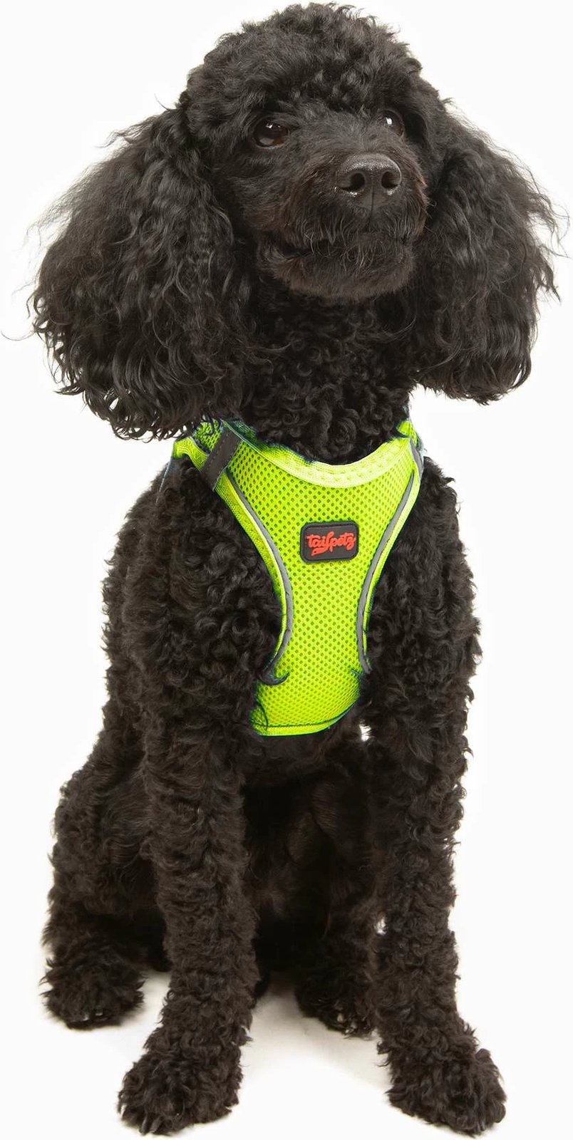 Parzmore për qen, ngjyrë Neo Lime, Air-Mesh