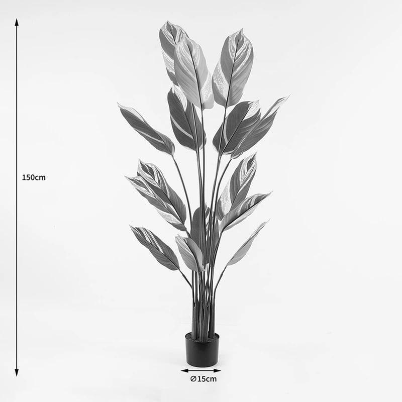 Bimë dekorative Aglaonema në vazo, ngjyrë e gjelbër, 80x150cm