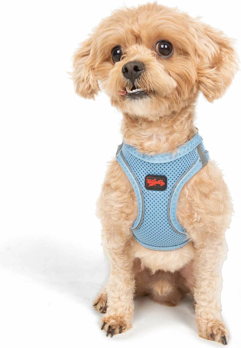 Parzmore për qen, Air-Mesh, ngjyrë kaltër, Paws & Whiskers