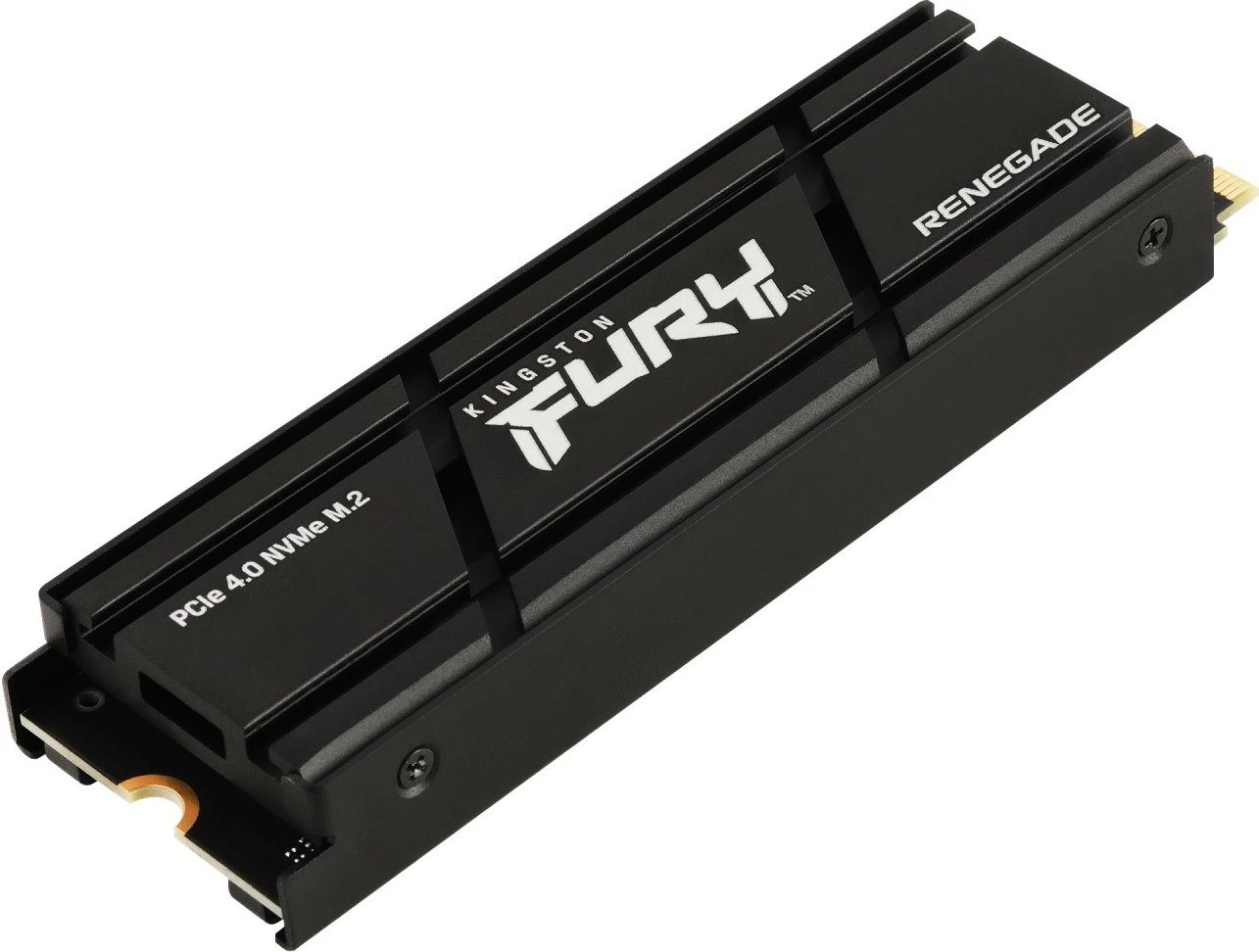 SSD Kingston FURY Renegade 1TB, M.2 2280, PCI-e 4.0 NVMe, i zi