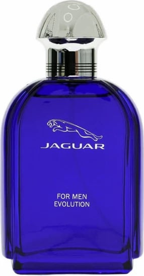 Eau de Toilette për meshkuj Jaguar Evolution 100ml