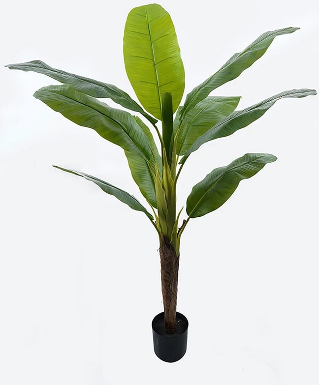 Bimë dekorative Banono në vazo, ngjyrë e gjelbër, 95x160cm