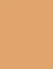 Fondatinë për këmbë Sally Hansen Airbrush Legs Medium për femra 118ml