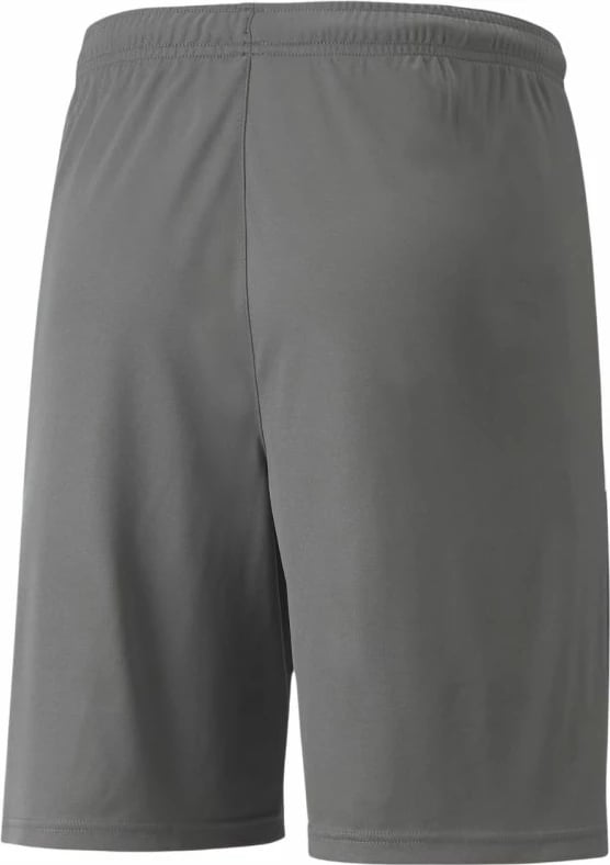 Shorce për meshkuj Puma, gri