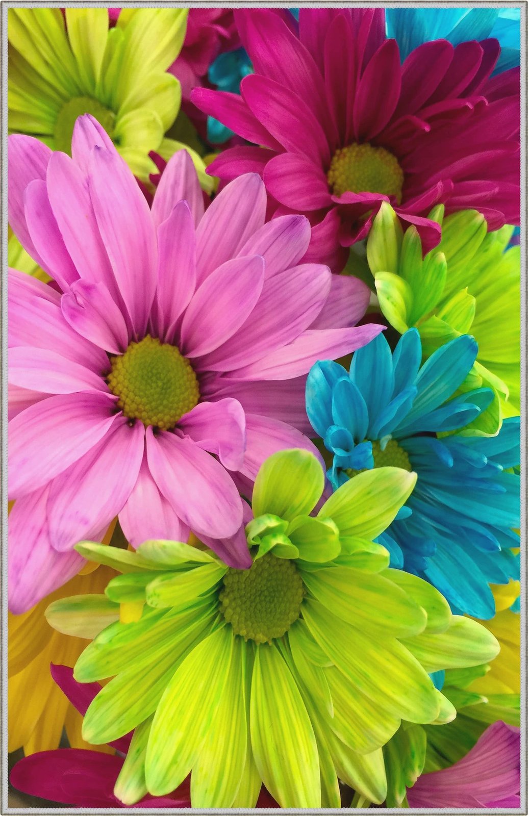 Qilim multikolor, 180x280cm, Conceptum Hypnose, WOOKECE070