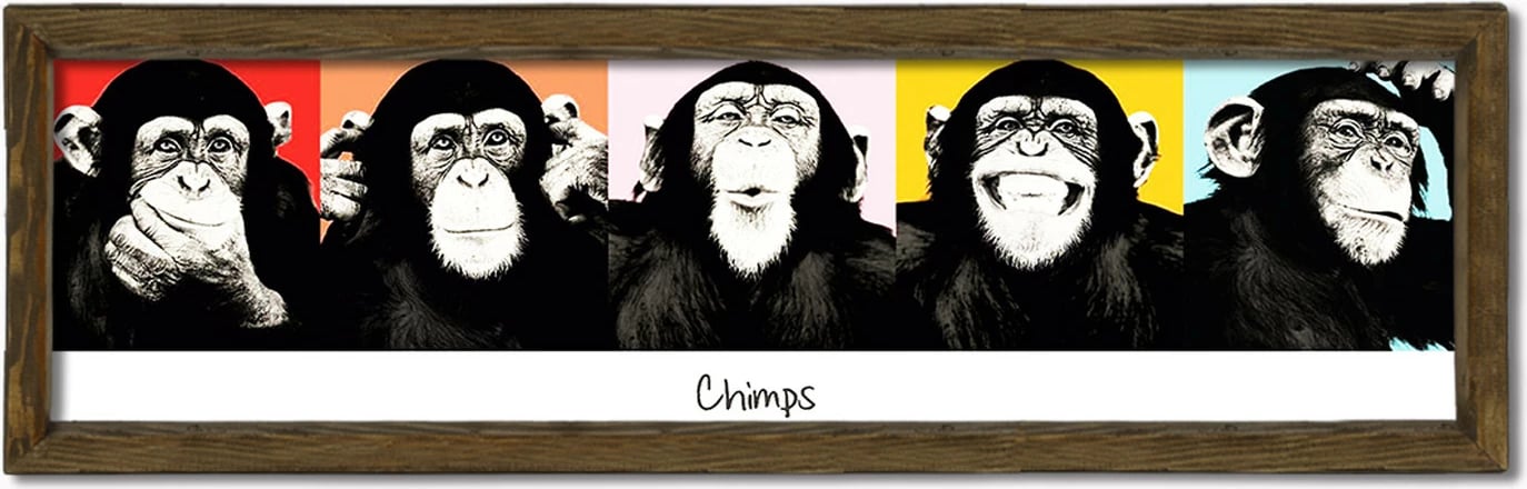 Pikturë dekorative me kornizë, MDF, shumëngjyrëshe, Wallity, OZM826, 19x70x3.5cm