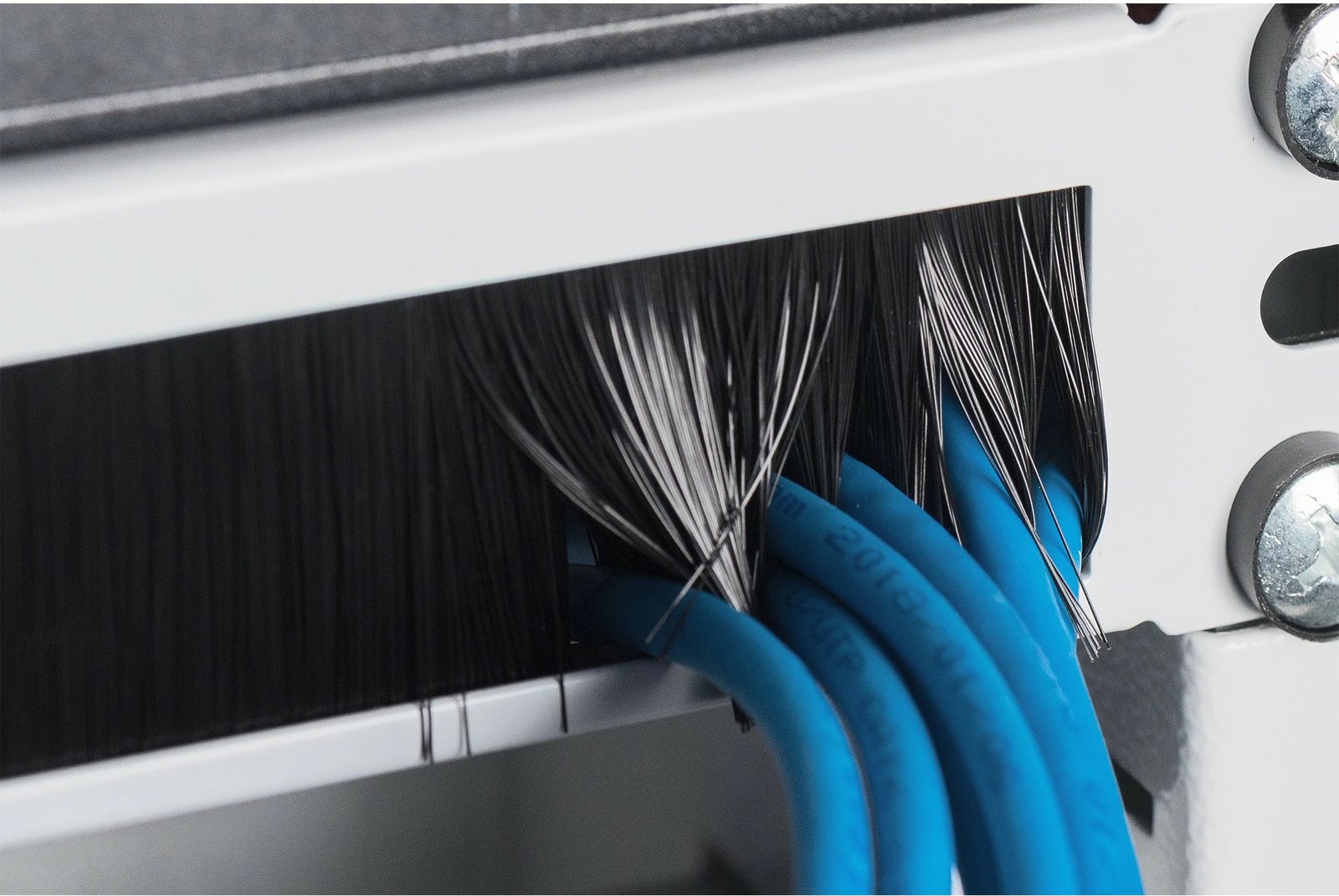 Panel bosh me brushë për kabllo Digitus, 1U, 483mm, ngjyrë hiri